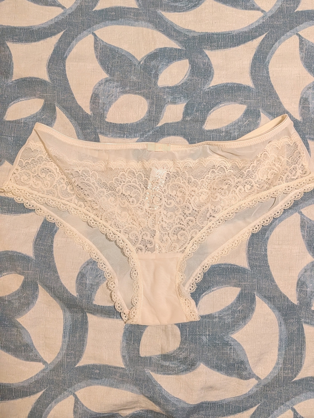Lace Trim Bikini Briefs in Cream